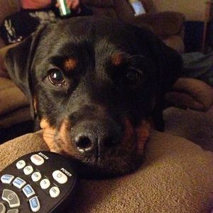 Meet your Posher, Carolyn